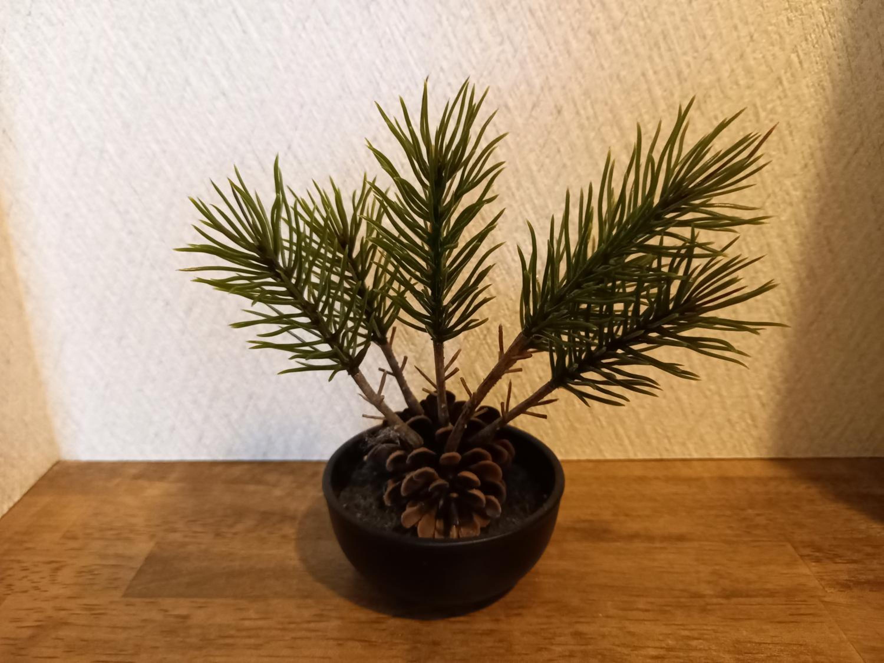 Photo 48