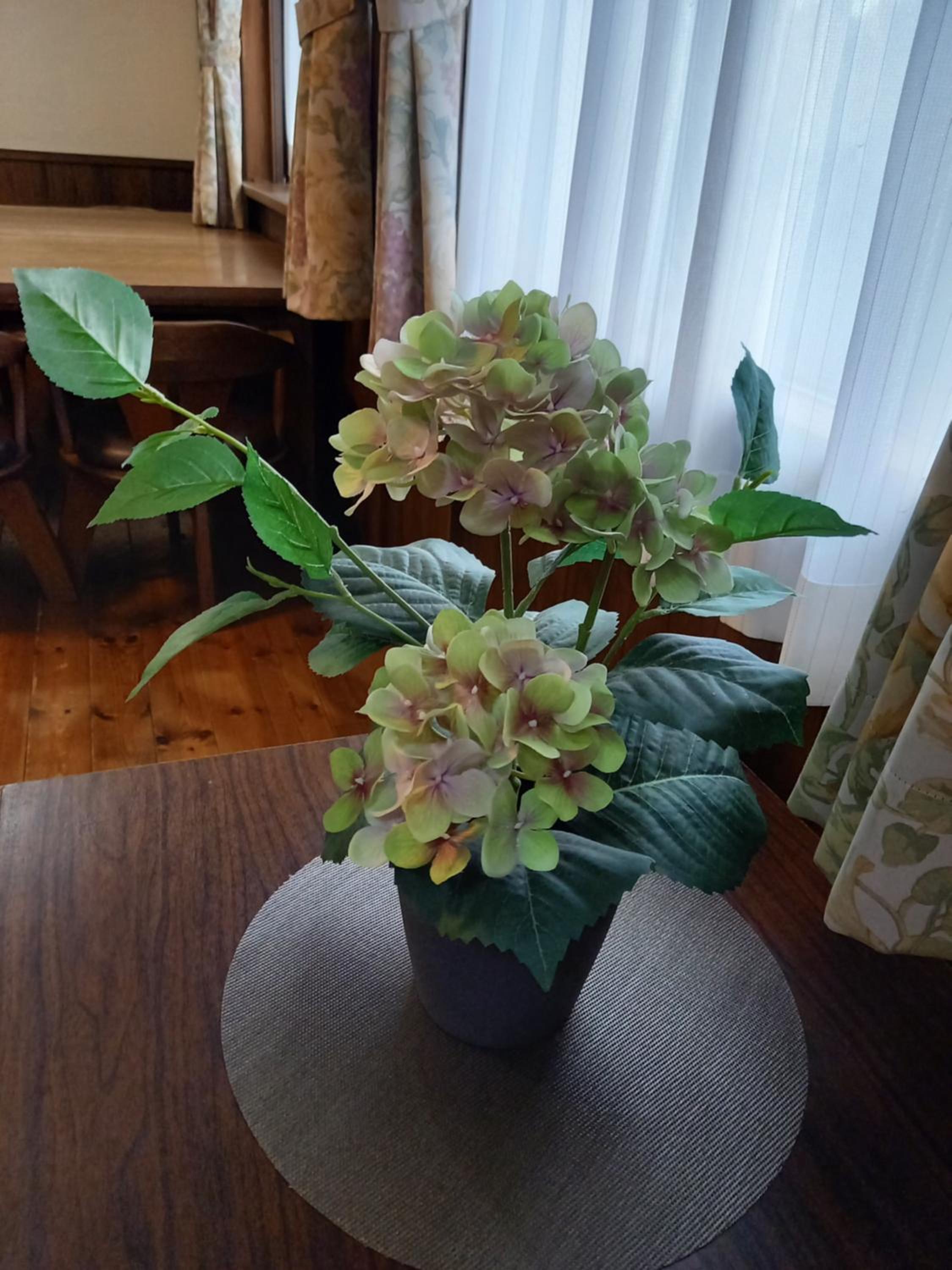Photo 36