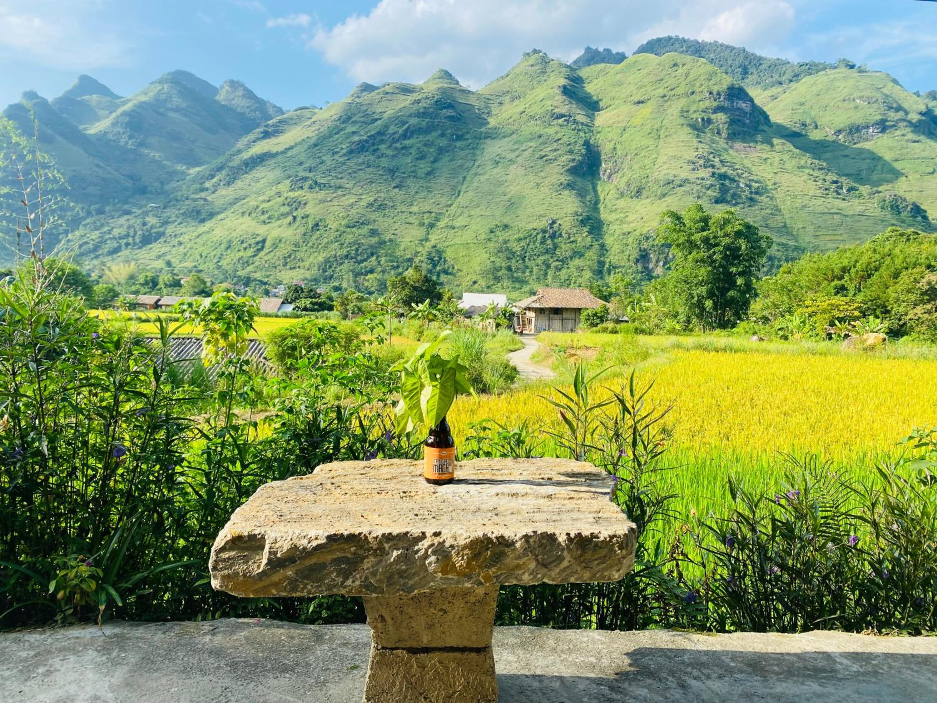 Du Gia Field View Homestay