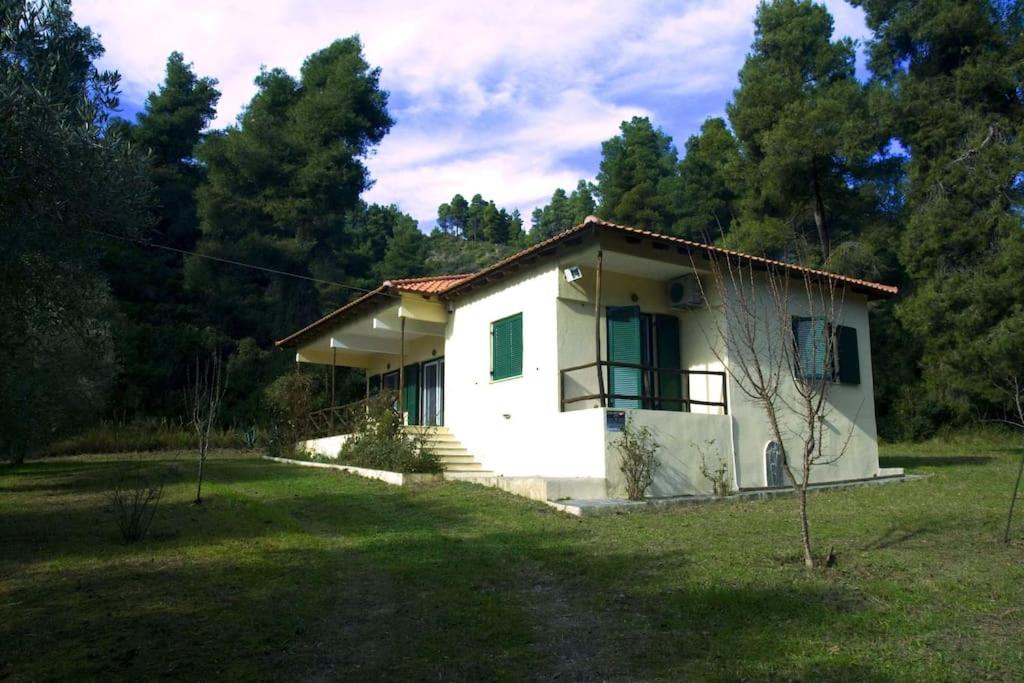 Pine Tree Cottage