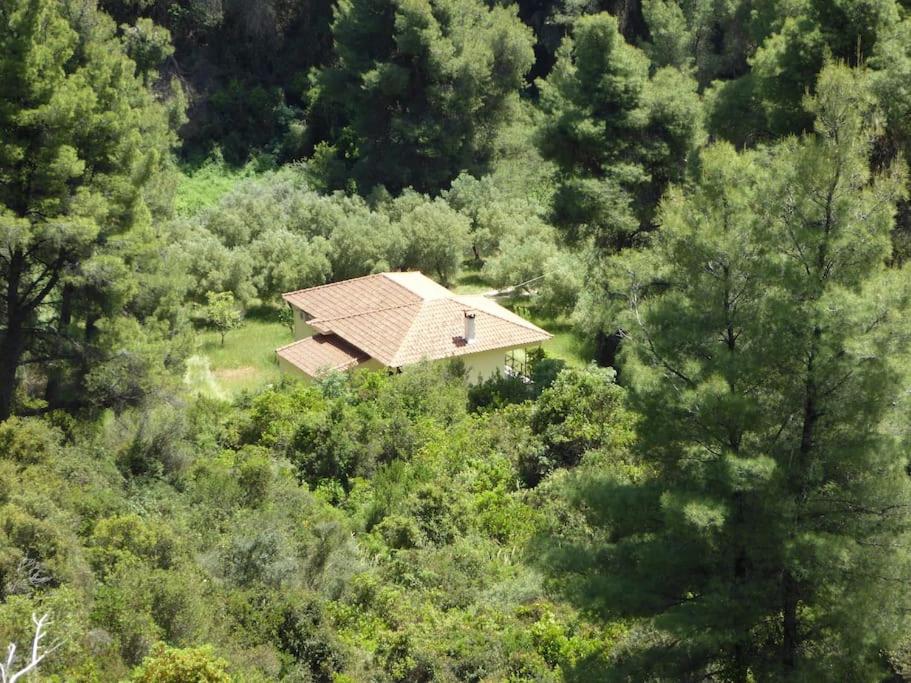 Pine Tree Cottage