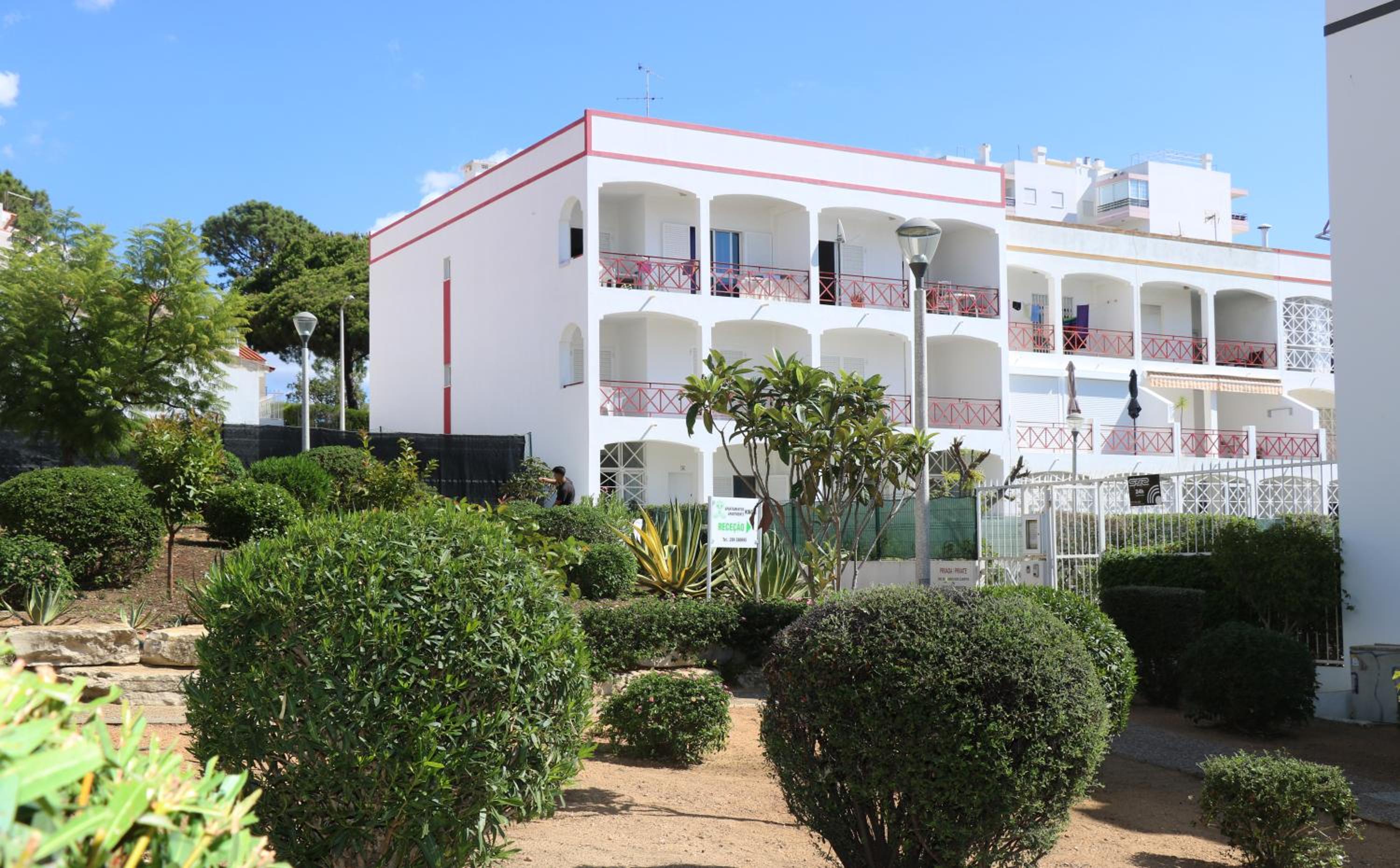 Apartamentos King's