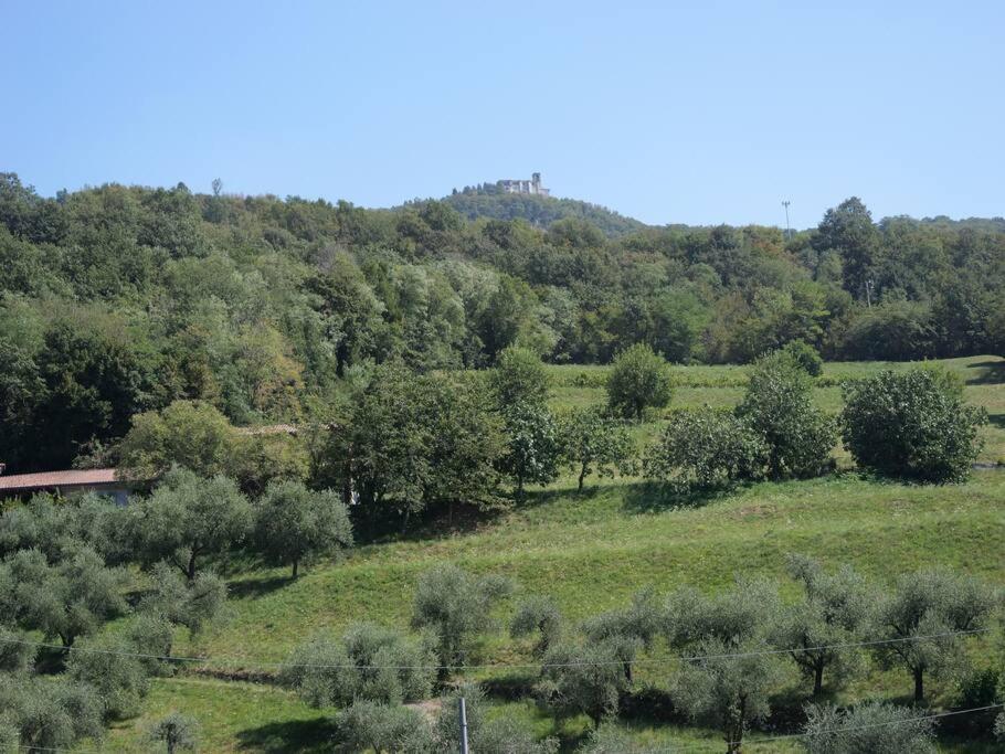 Photo 41