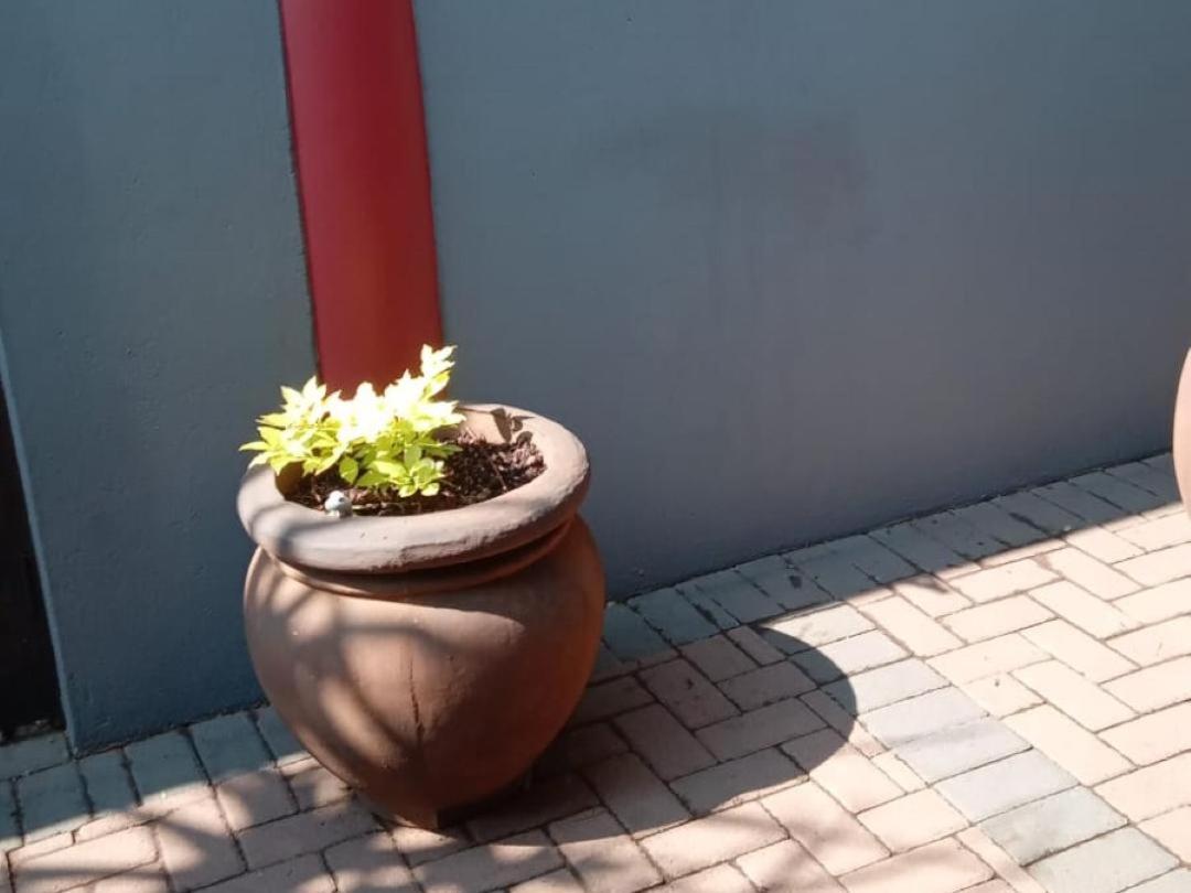 Grand Central Guesthouse, photo 75