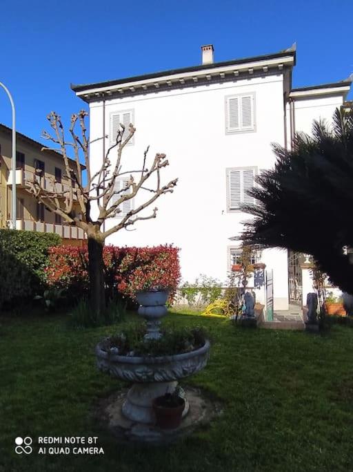 Villa Camelia le Tue Eleganti Vacanze a Lucca