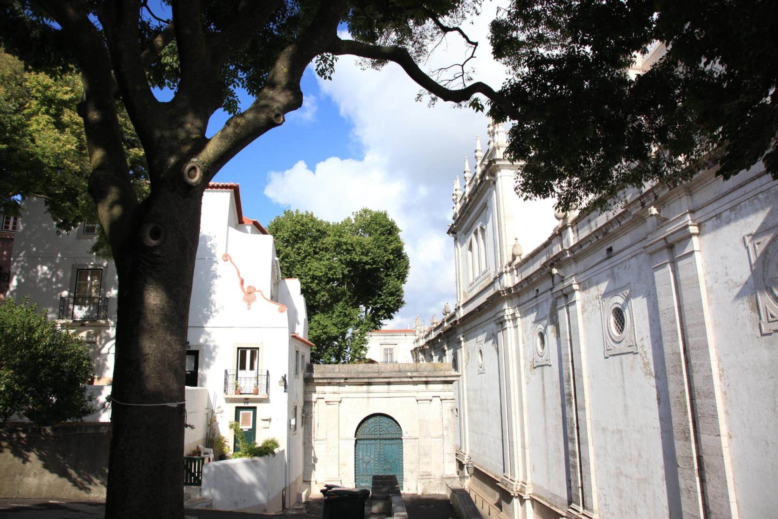 Photo 40