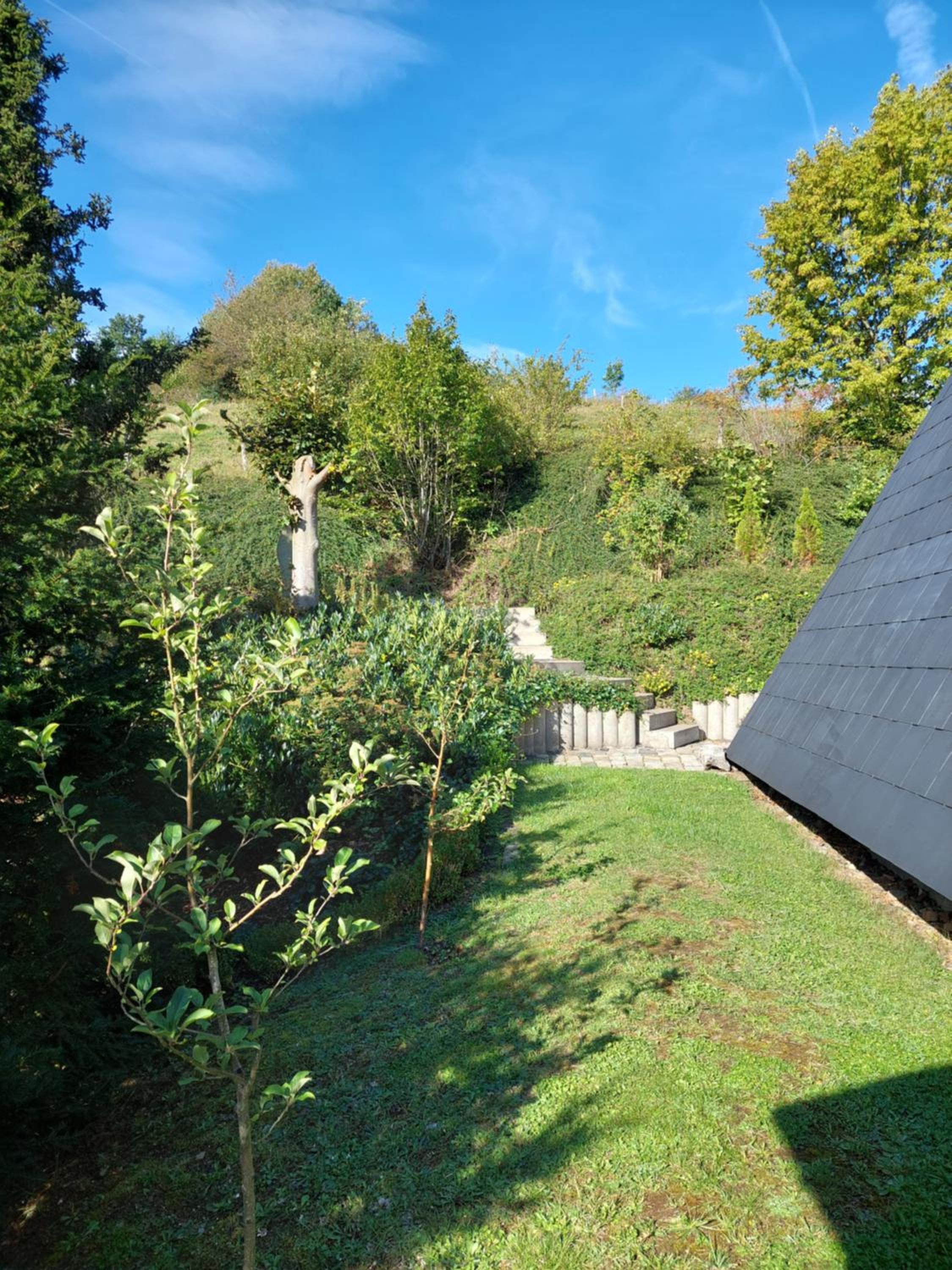 Haus am See Willingen
