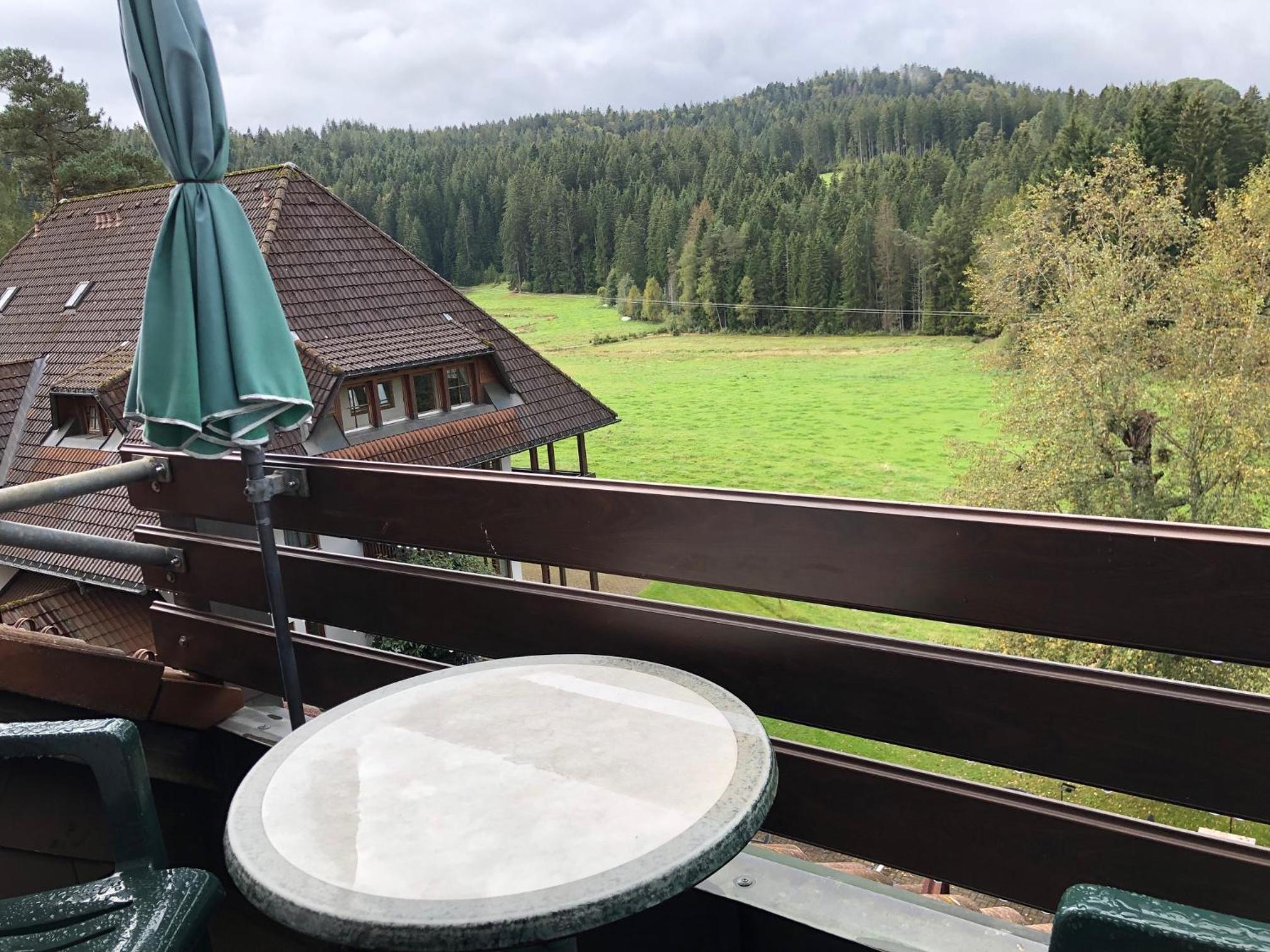 Ferienwohnung Hochschwarzwald