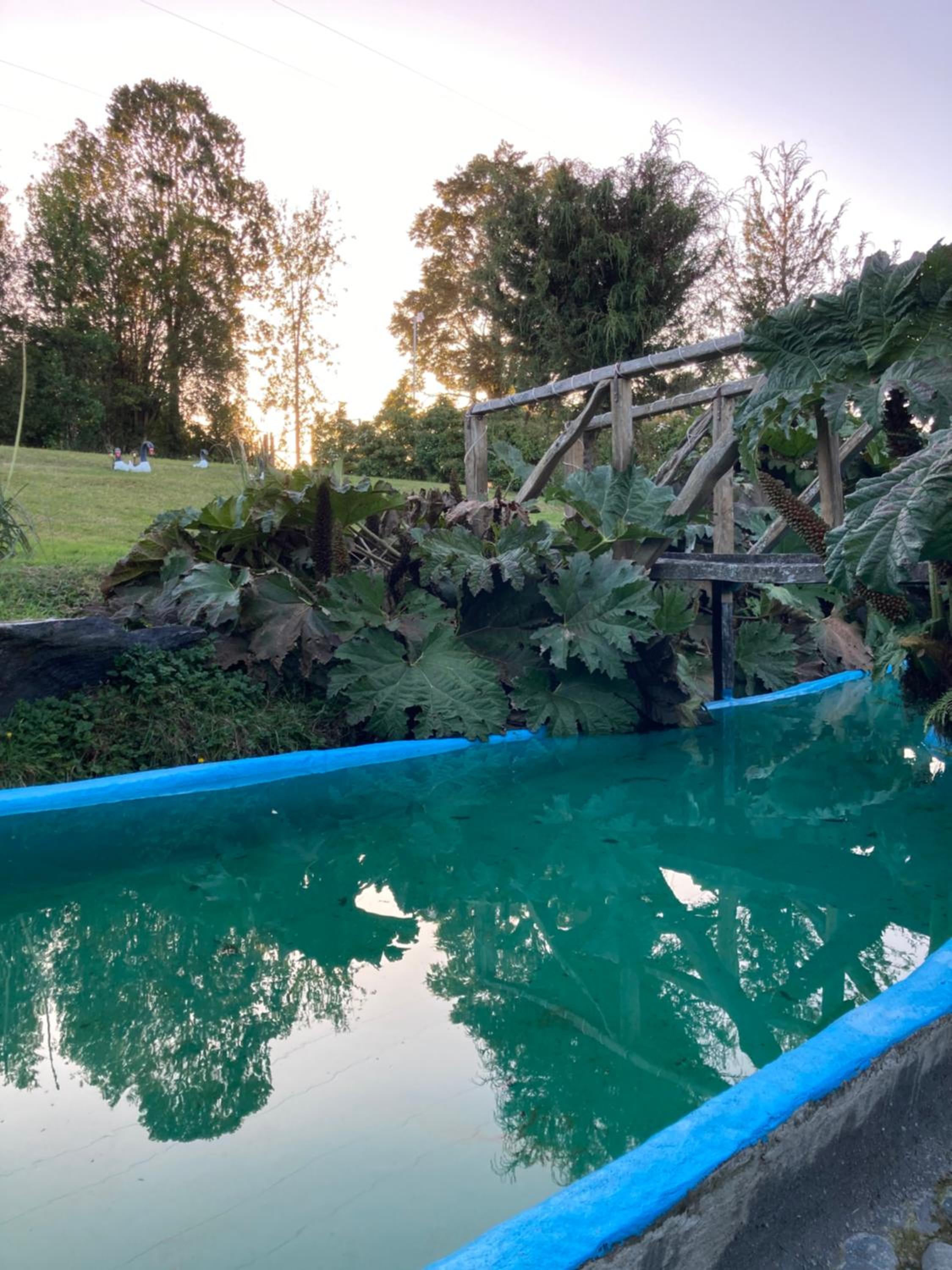 El Viloche - Casa de campo con tinaja