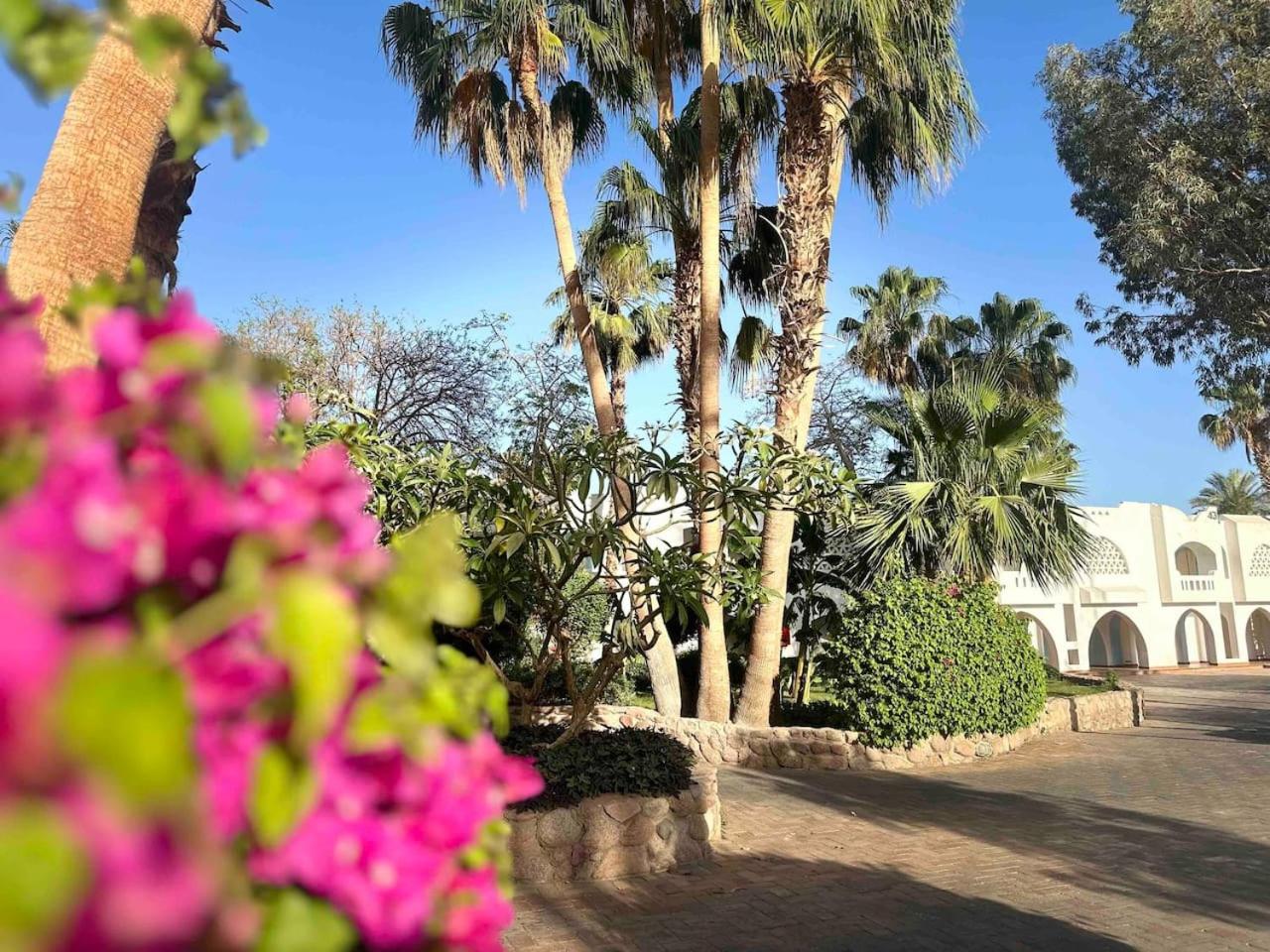 Suite Elisir Egitto Domina Coral Bay Resort
