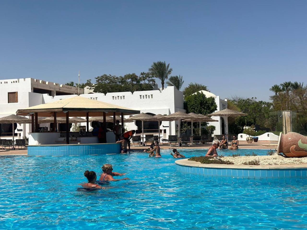 Suite Elisir Egitto Domina Coral Bay Resort