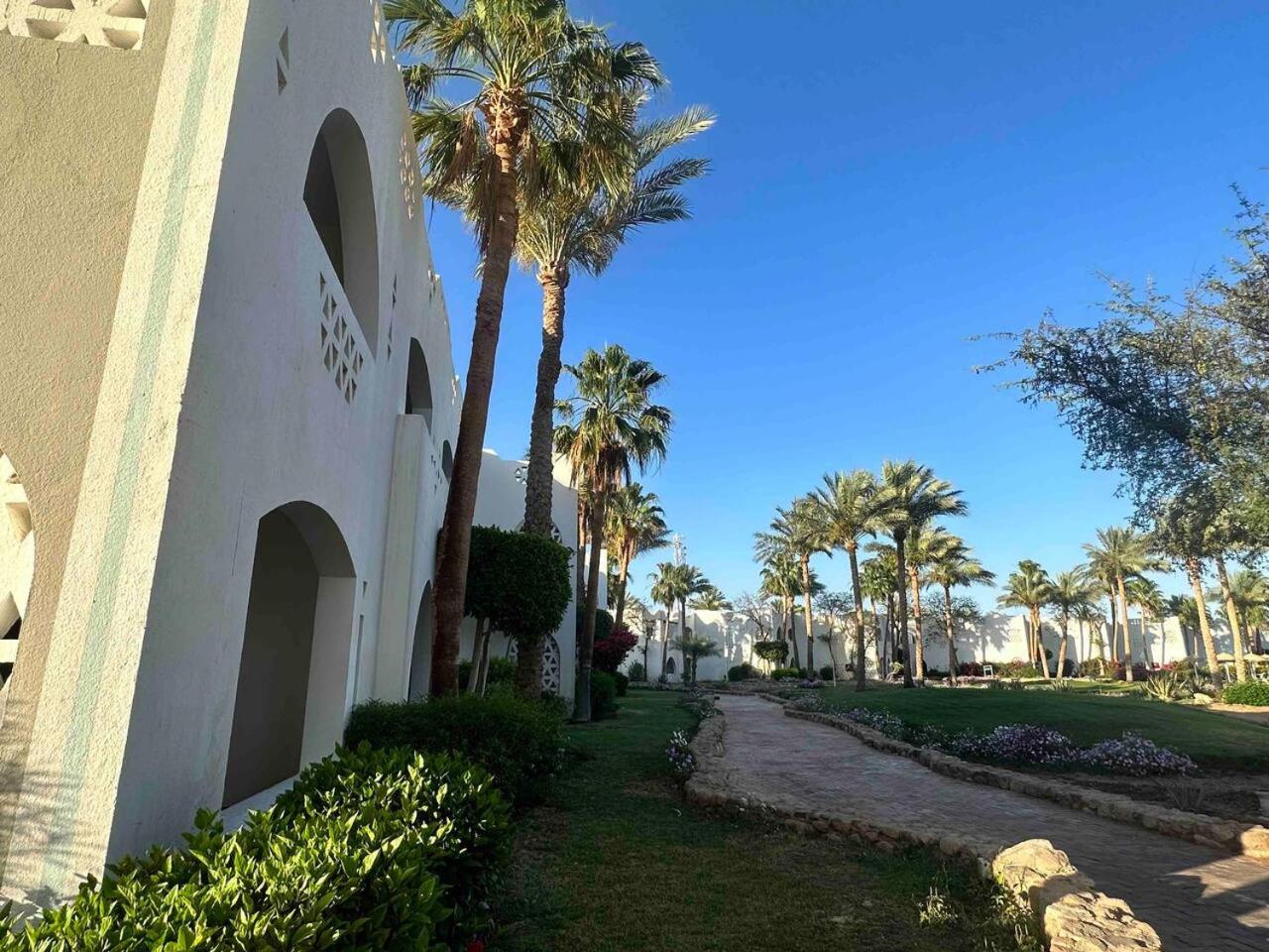 Suite Elisir Egitto Domina Coral Bay Resort