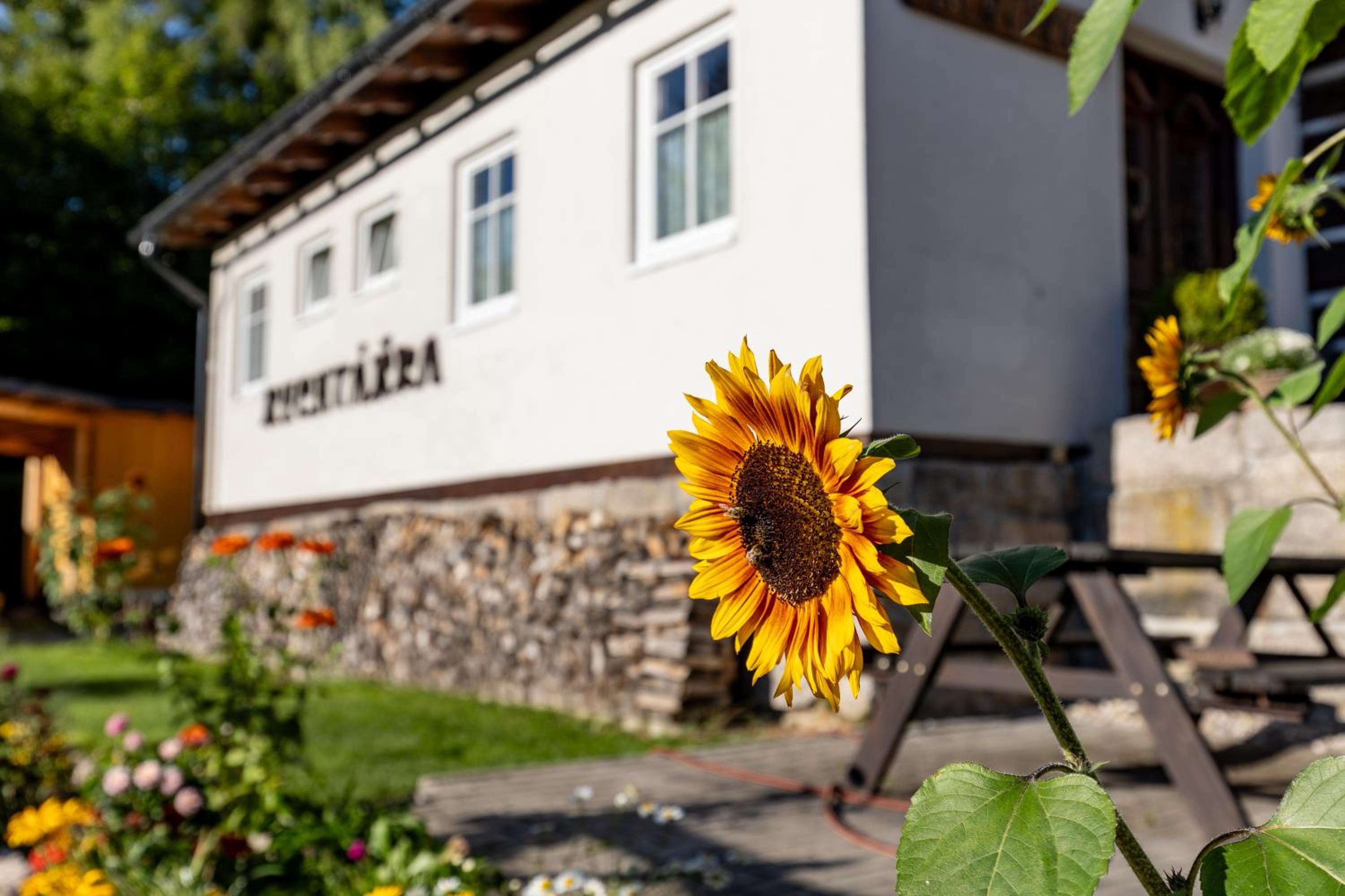 Chata Rychtářka
