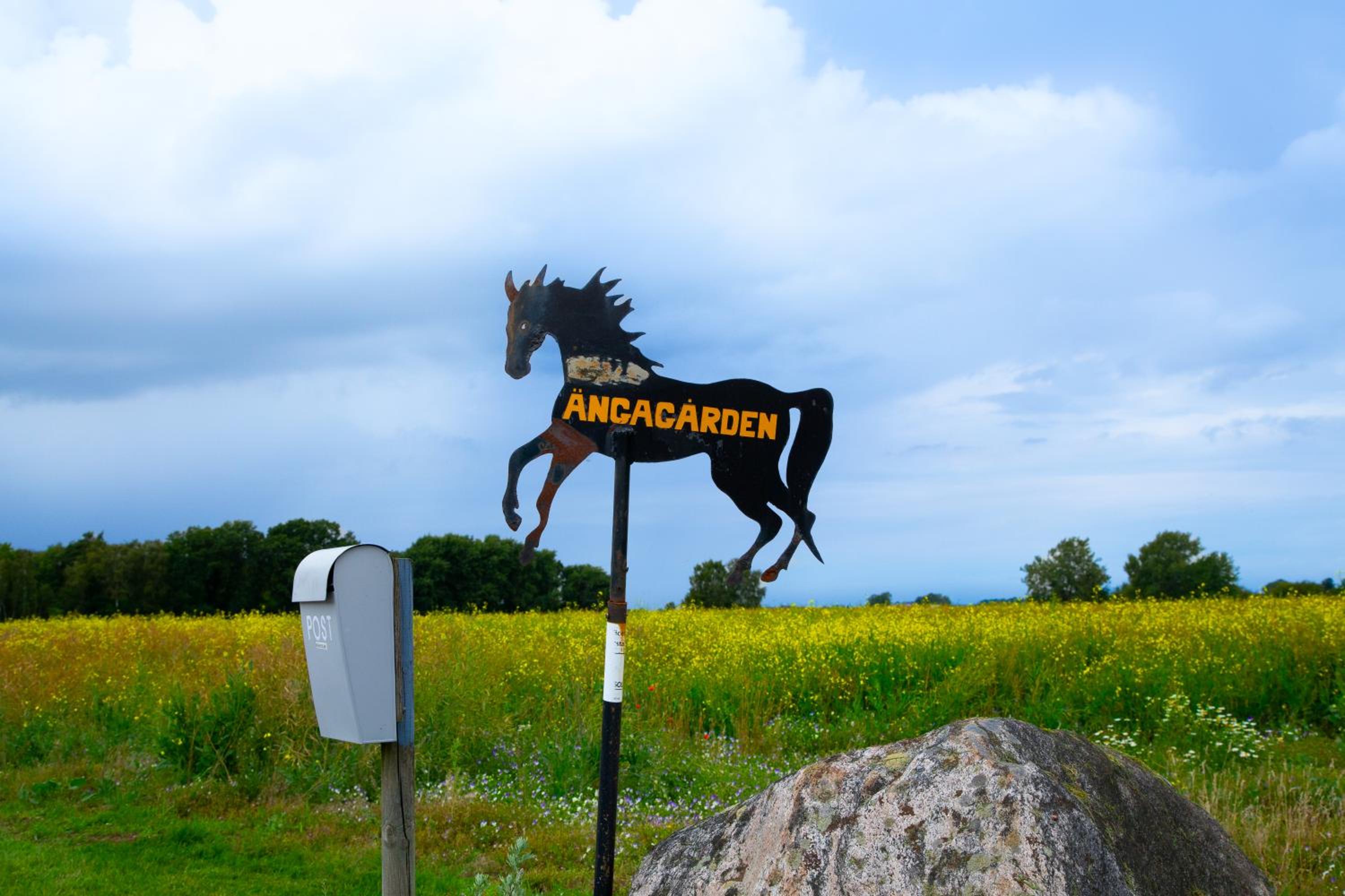 Ängagården - Gårdslyckan