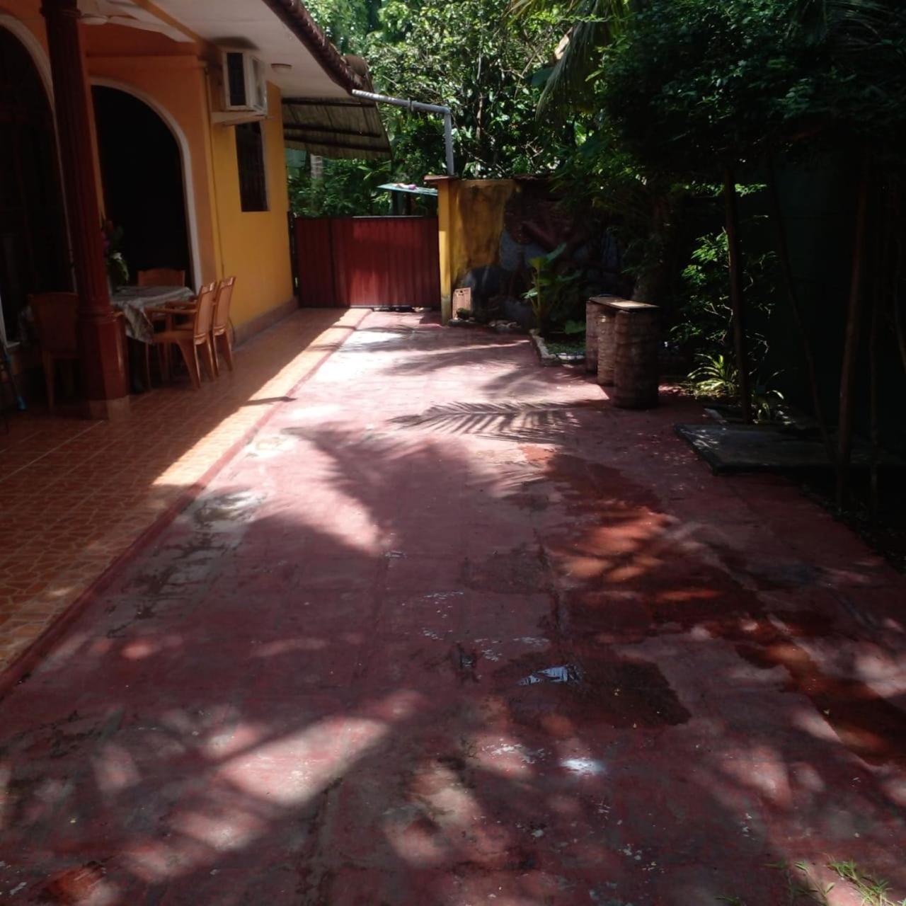 Photo 44