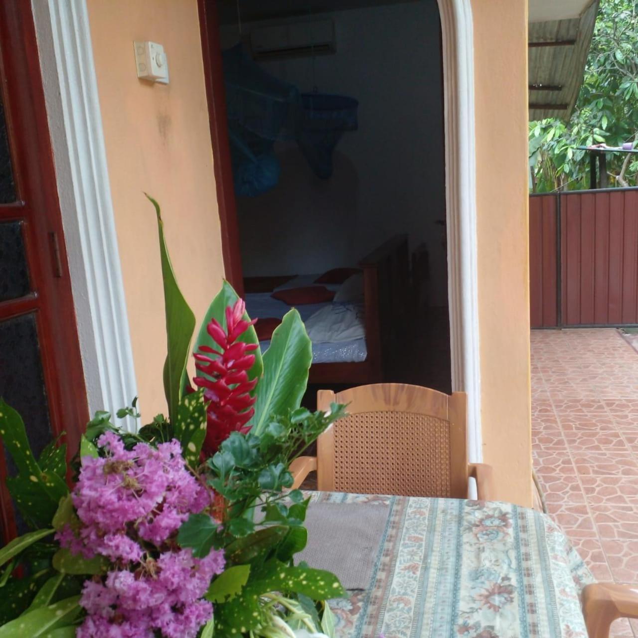 Photo 41