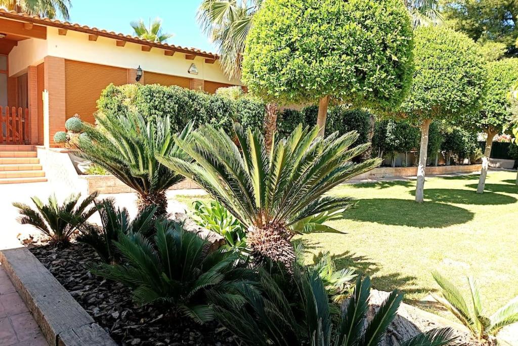 Elche Alicante ideal familias Piscina Barbacoa