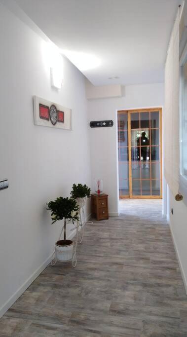 Elche Alicante ideal familias Piscina Barbacoa