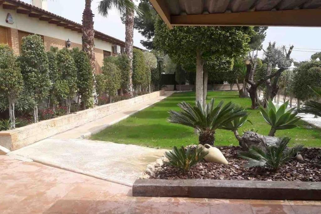 Elche Alicante ideal familias Piscina Barbacoa