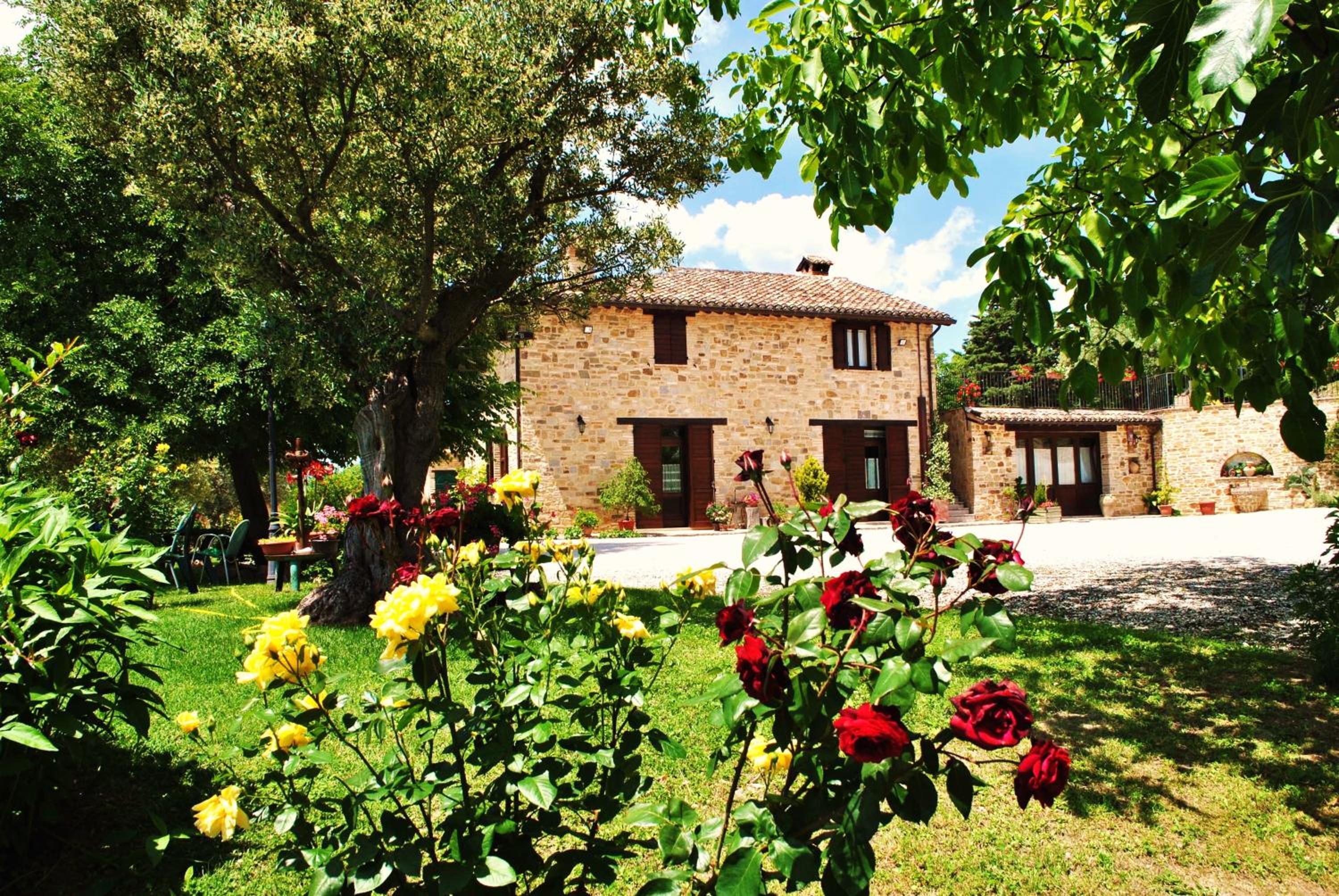 Agriturismo L'Antico Oliveto view 4