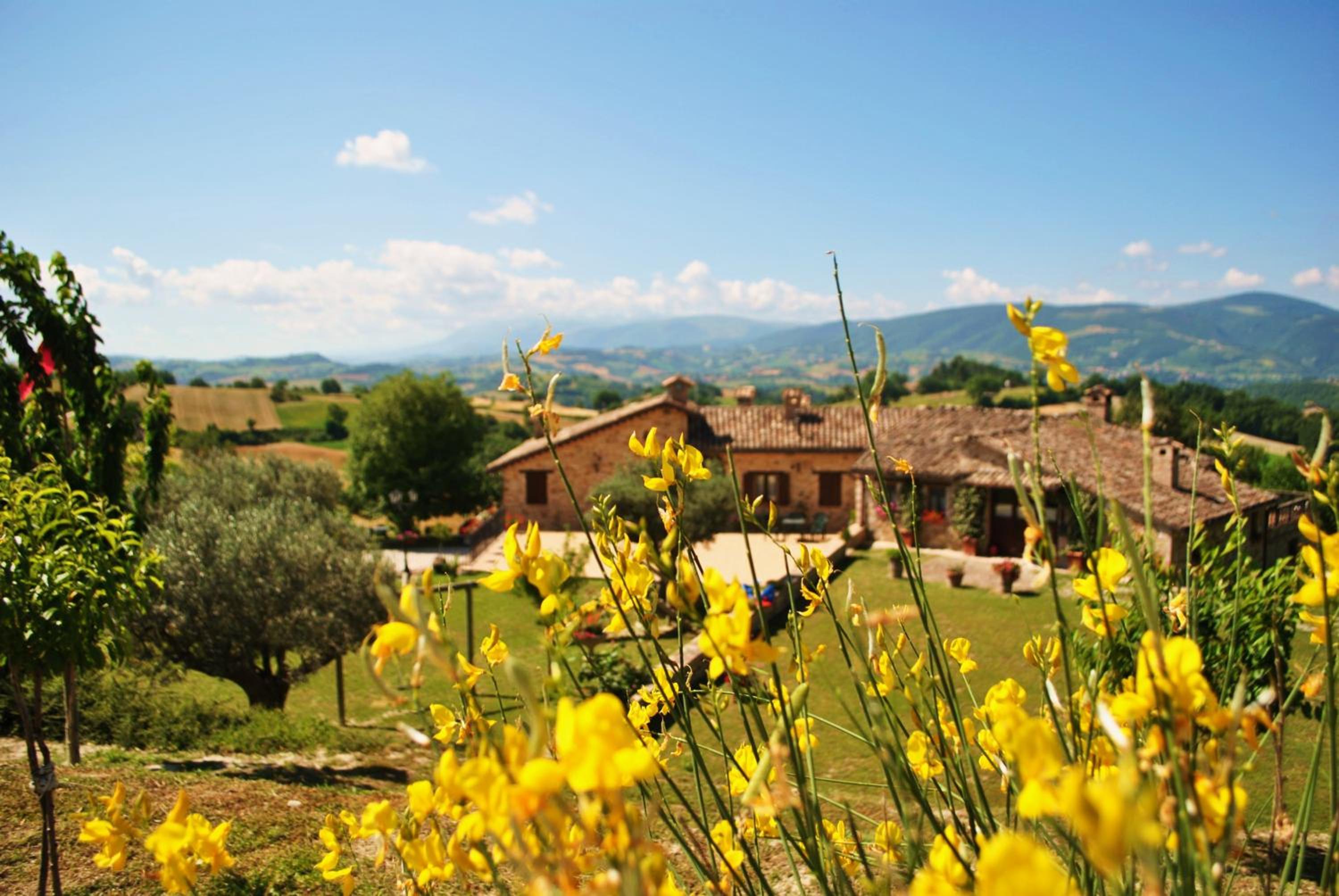 Agriturismo L'Antico Oliveto view 2