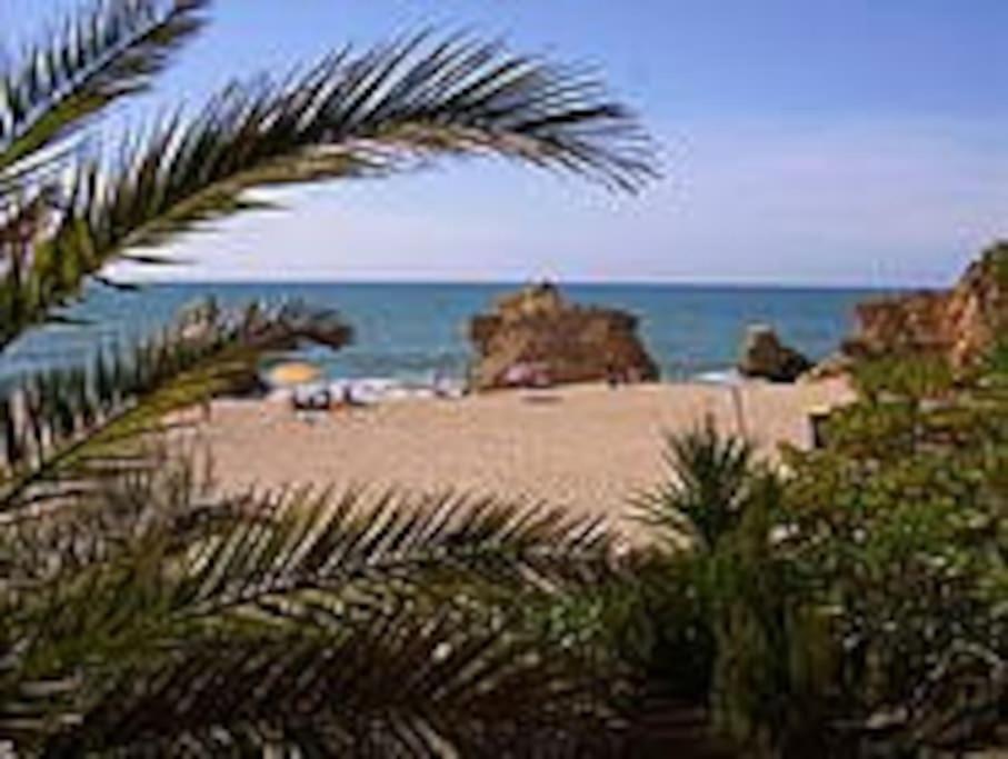 8 Min. Gehdistanz zum kilometerlangen Sandstrand von Alvor