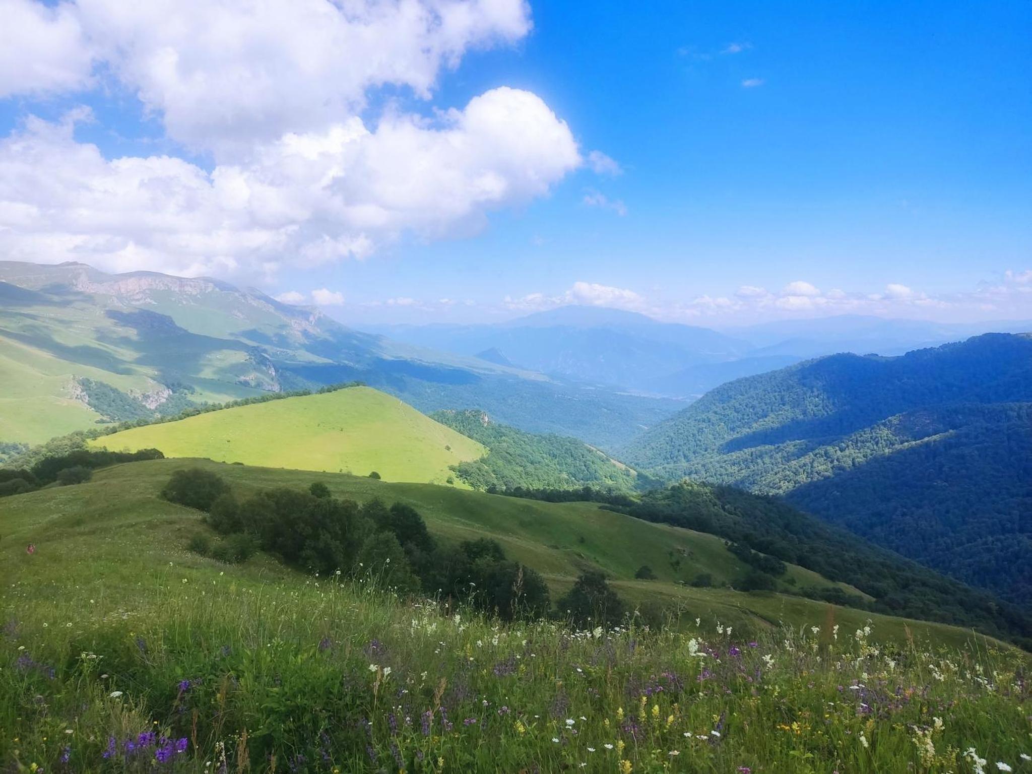 Apartment in Dilijan city