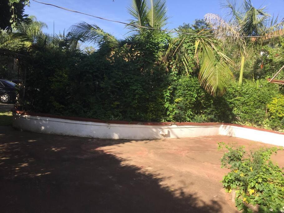 Pacho studio Apartment view 5