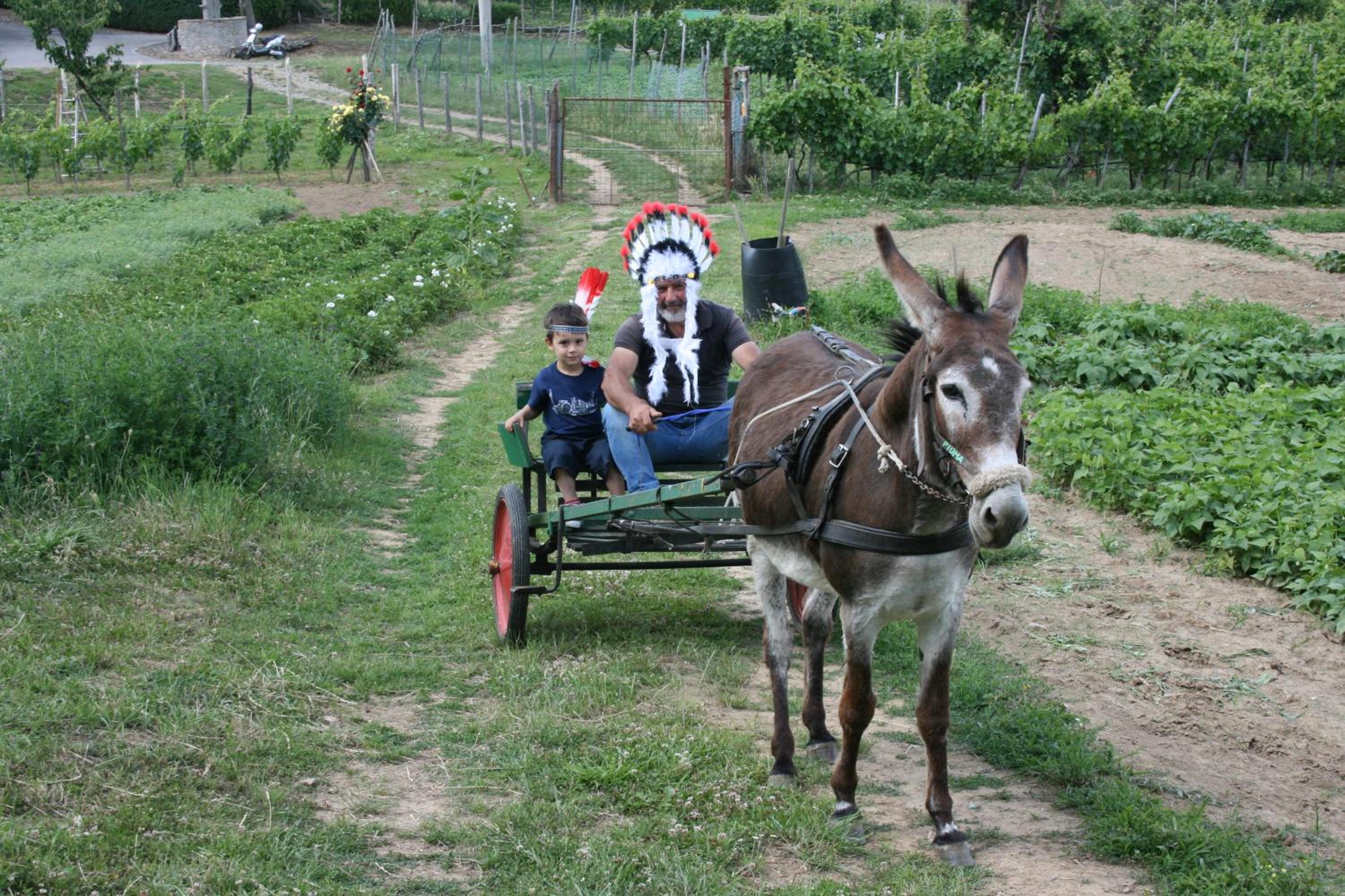 Agriturismo Podere La Fornace