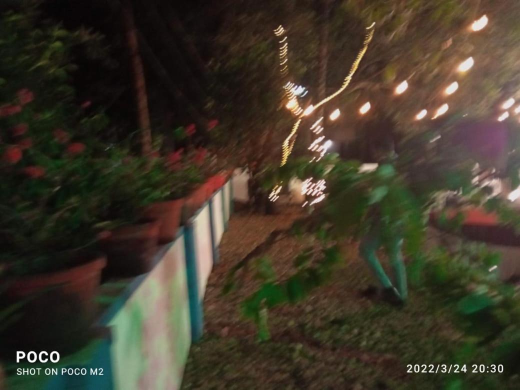 Photo 51