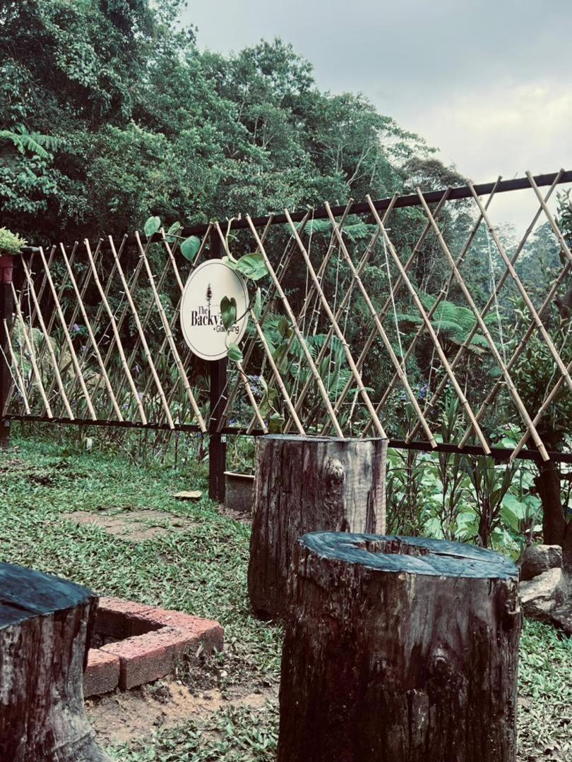 The Backyard Glamping Cameron Highlands