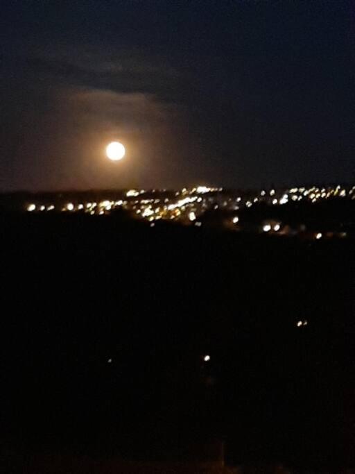 Le calme de la prairie de liège