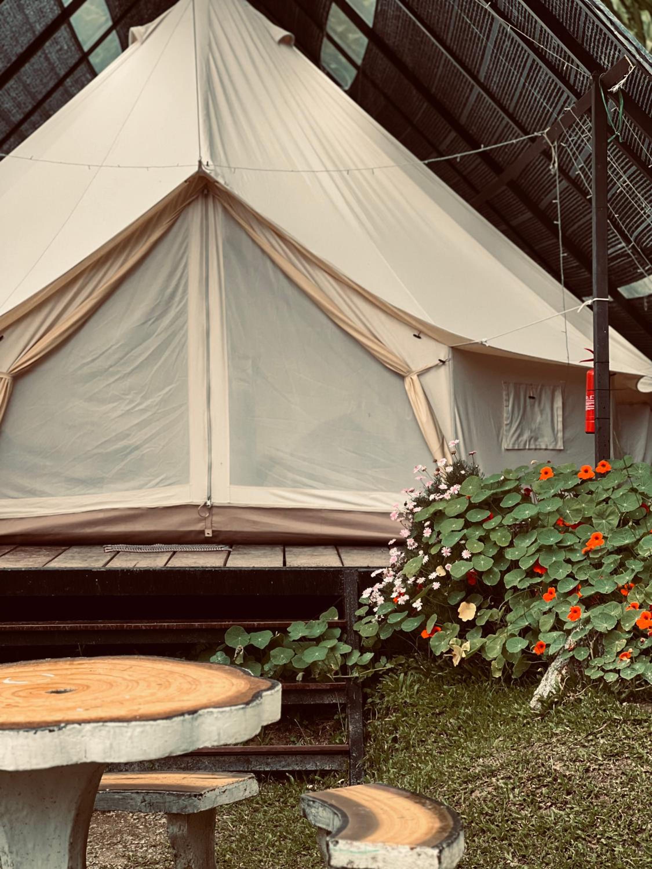 The Backyard Glamping Cameron Highlands