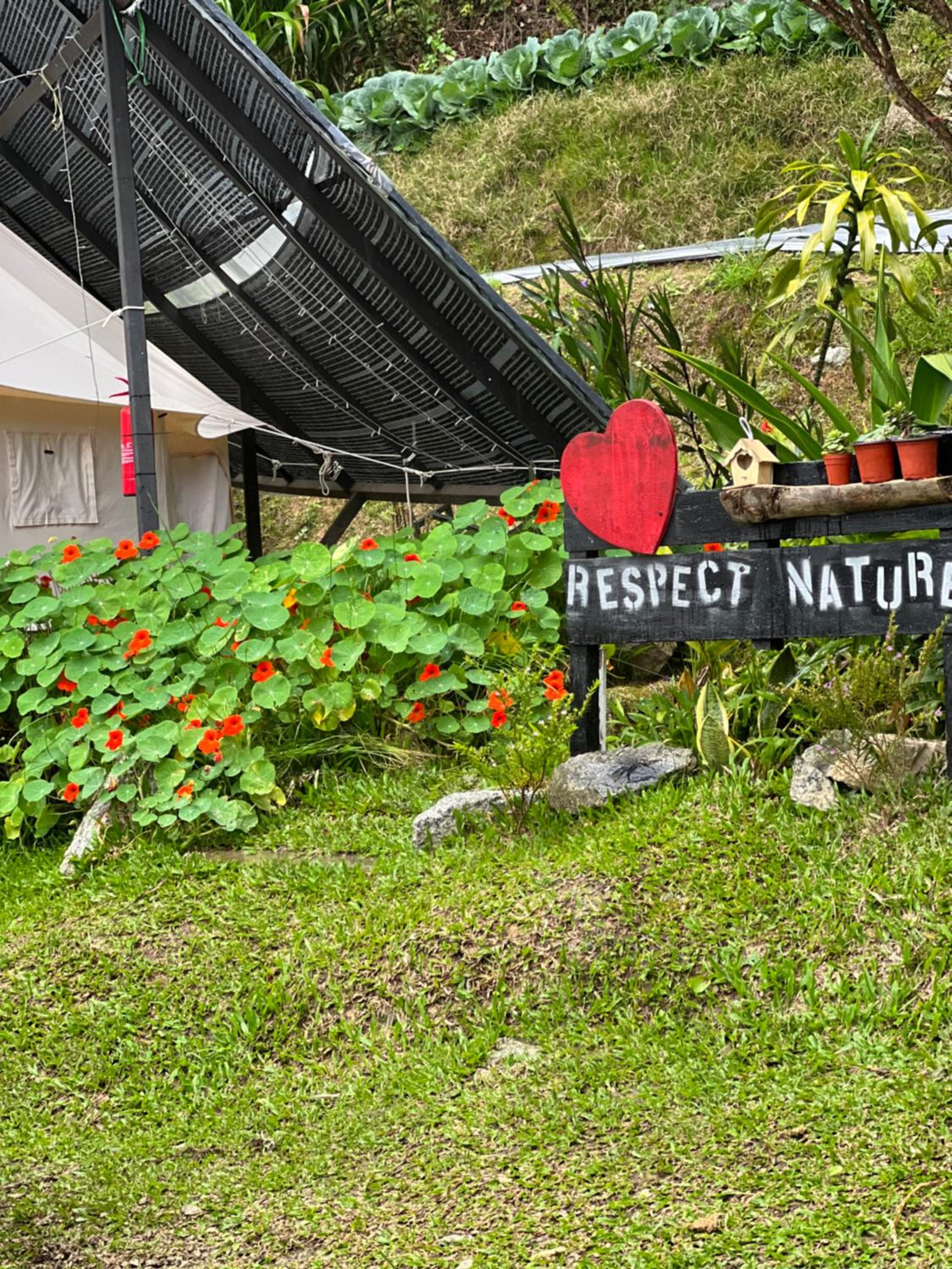 The Backyard Glamping Cameron Highlands