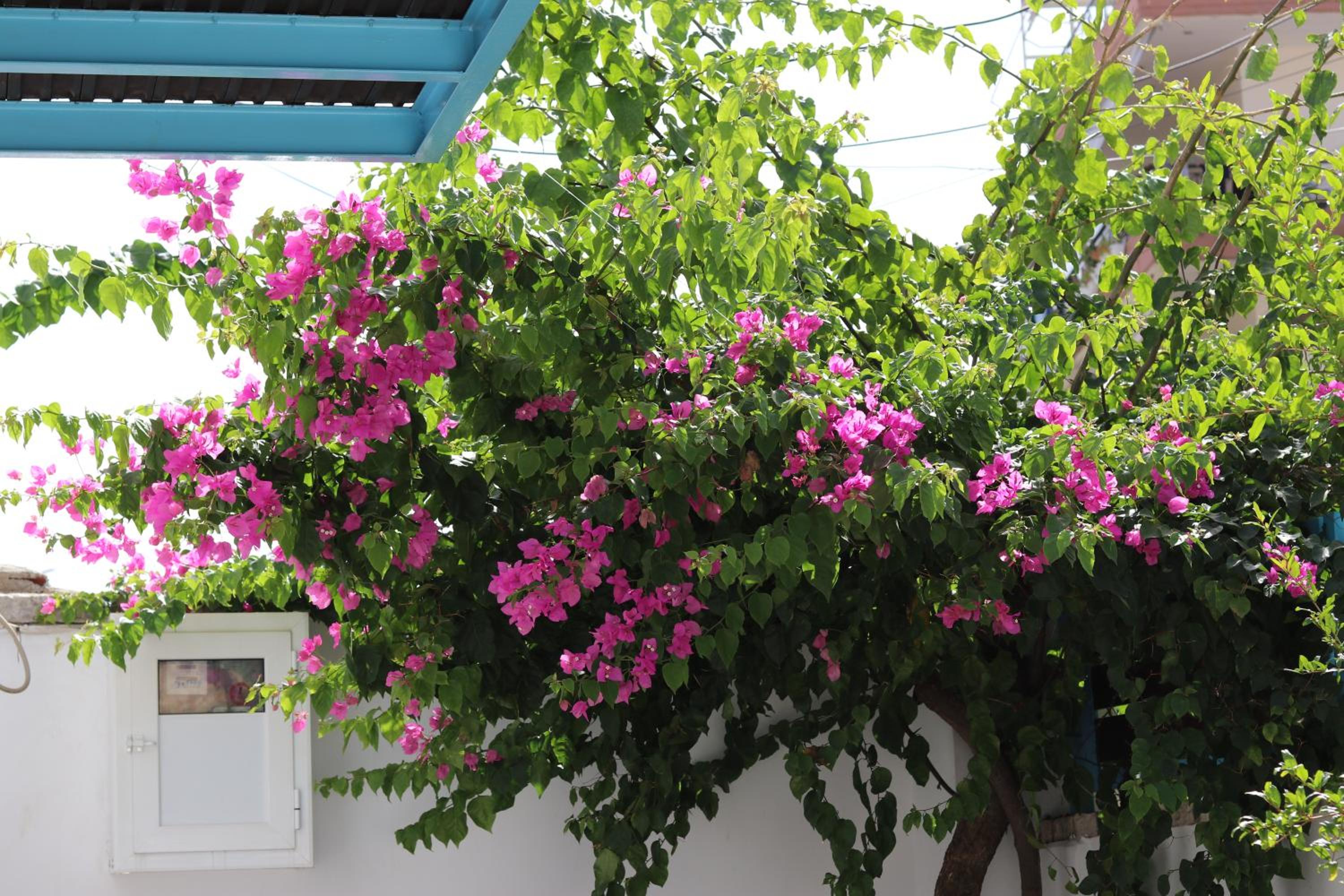 Anemos Villa
