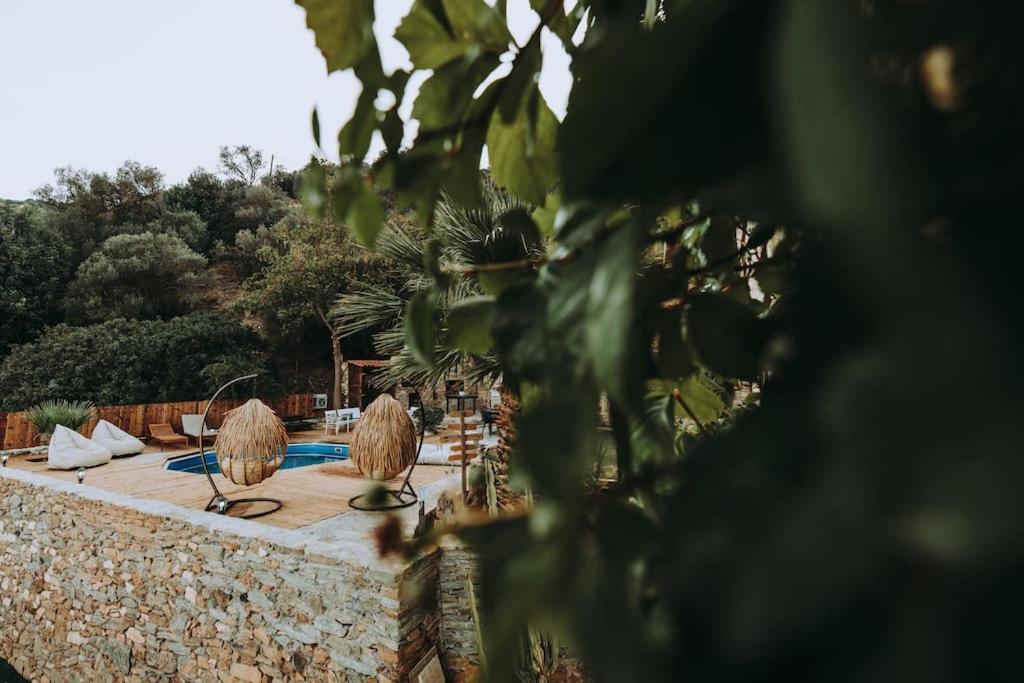 Luxury Villa Rodianna