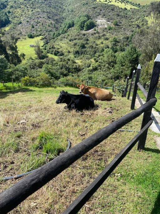 Casa de campo Sesquilé-Guatavita
