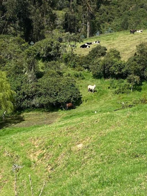 Casa de campo Sesquilé-Guatavita