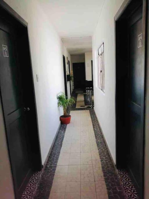 A6 Habitacion en Condesa Amsterdam photo 5