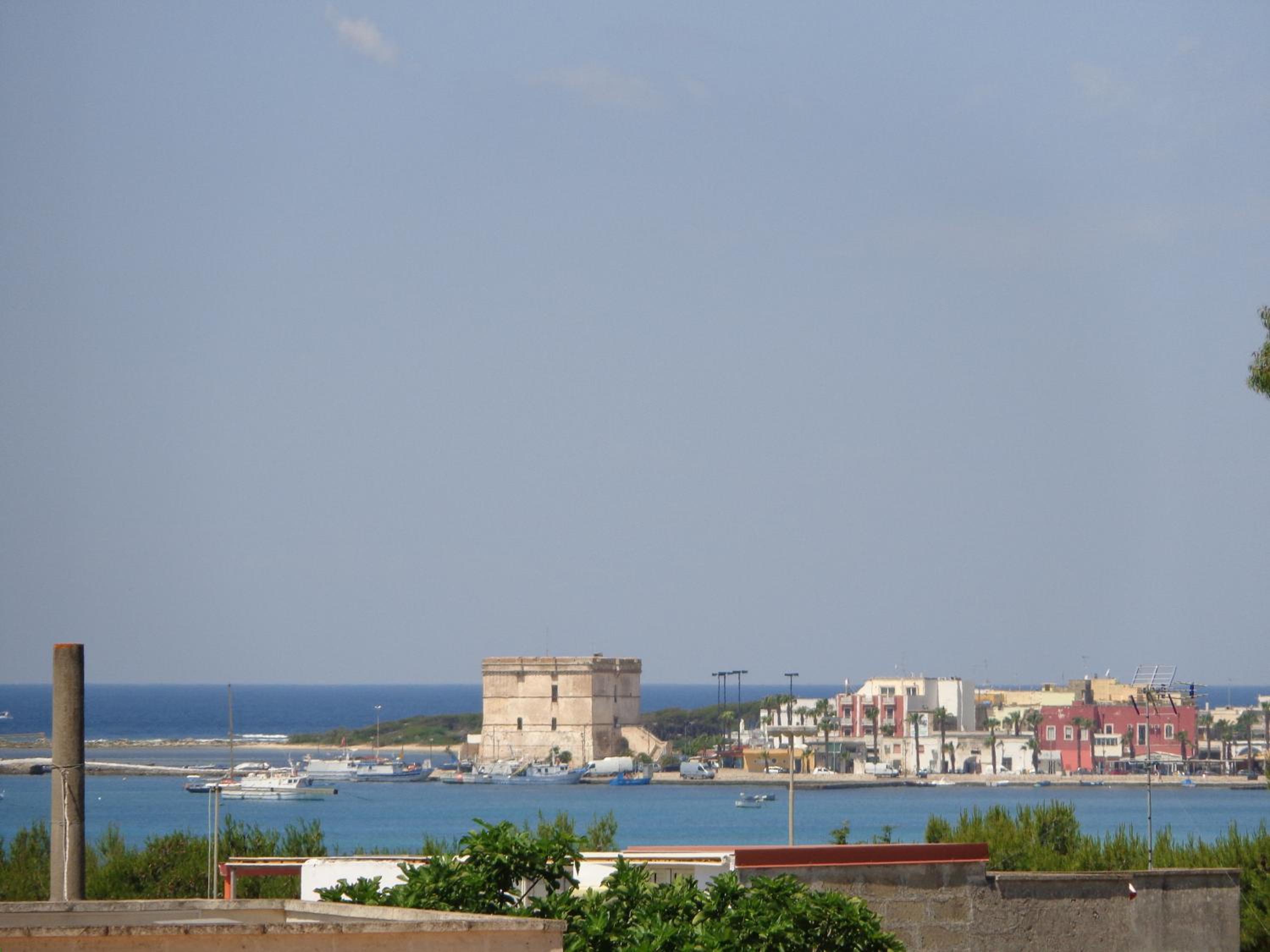 Photo 44
