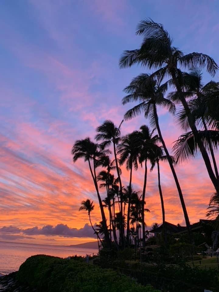 Elegant Studio w/ AC ~ Tropical Westside Napili view 2