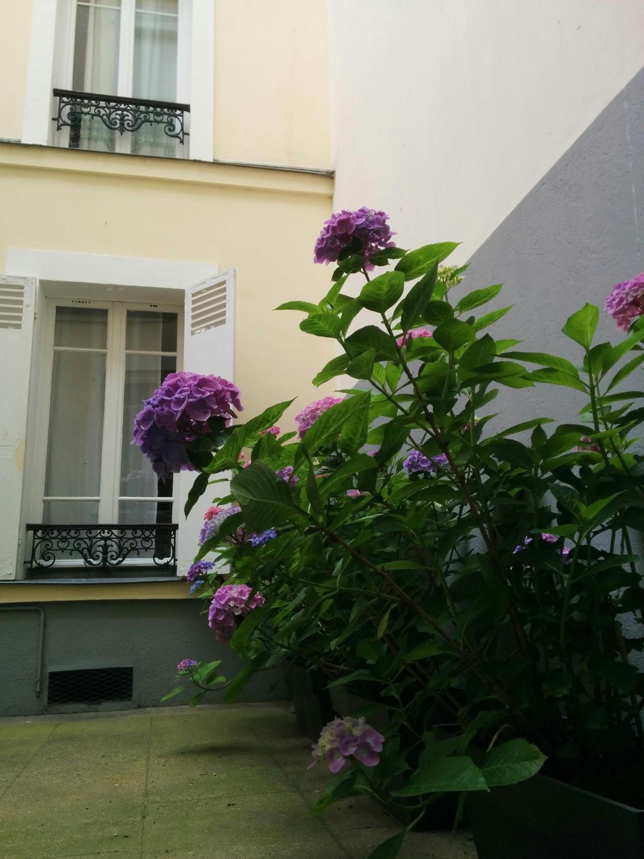 La Cour du 5ème - Chambre d'hôtes