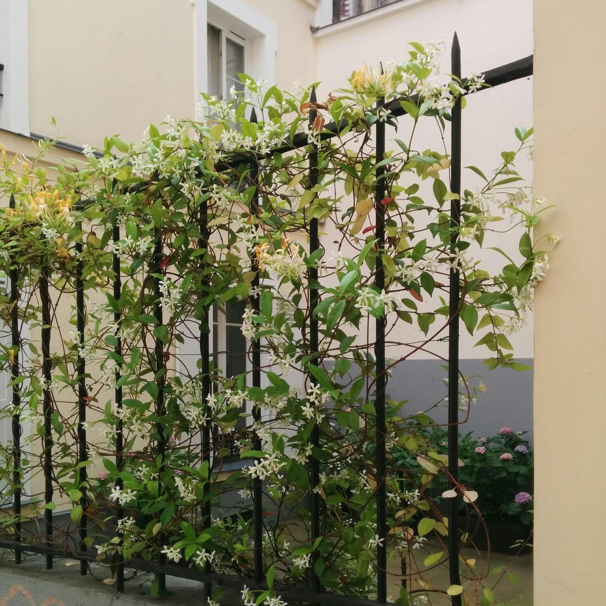 La Cour du 5ème - Chambre d'hôtes
