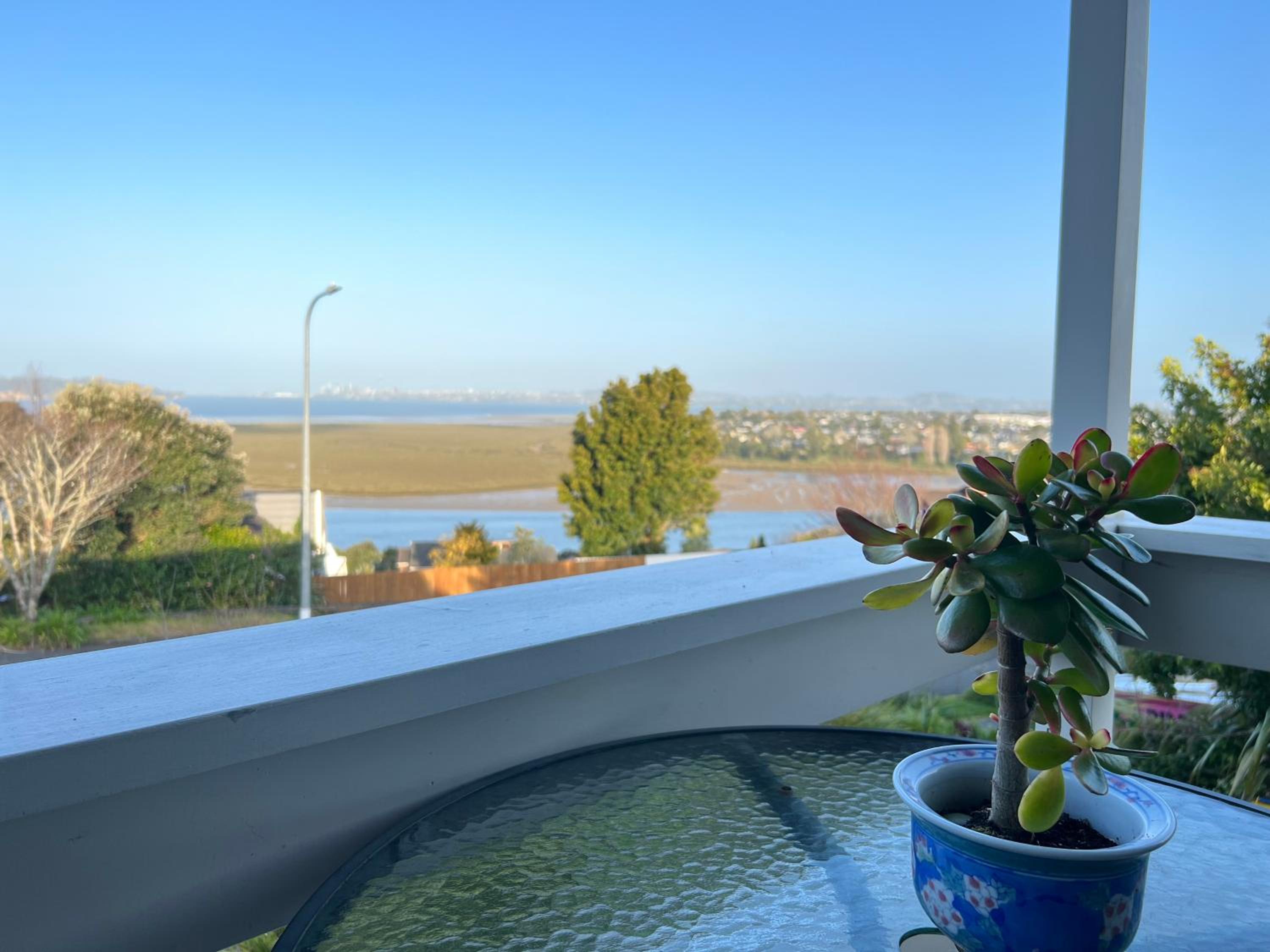 Auckland Sea&SkyTower view HOMESTAY with free Netflix, Parking view 2