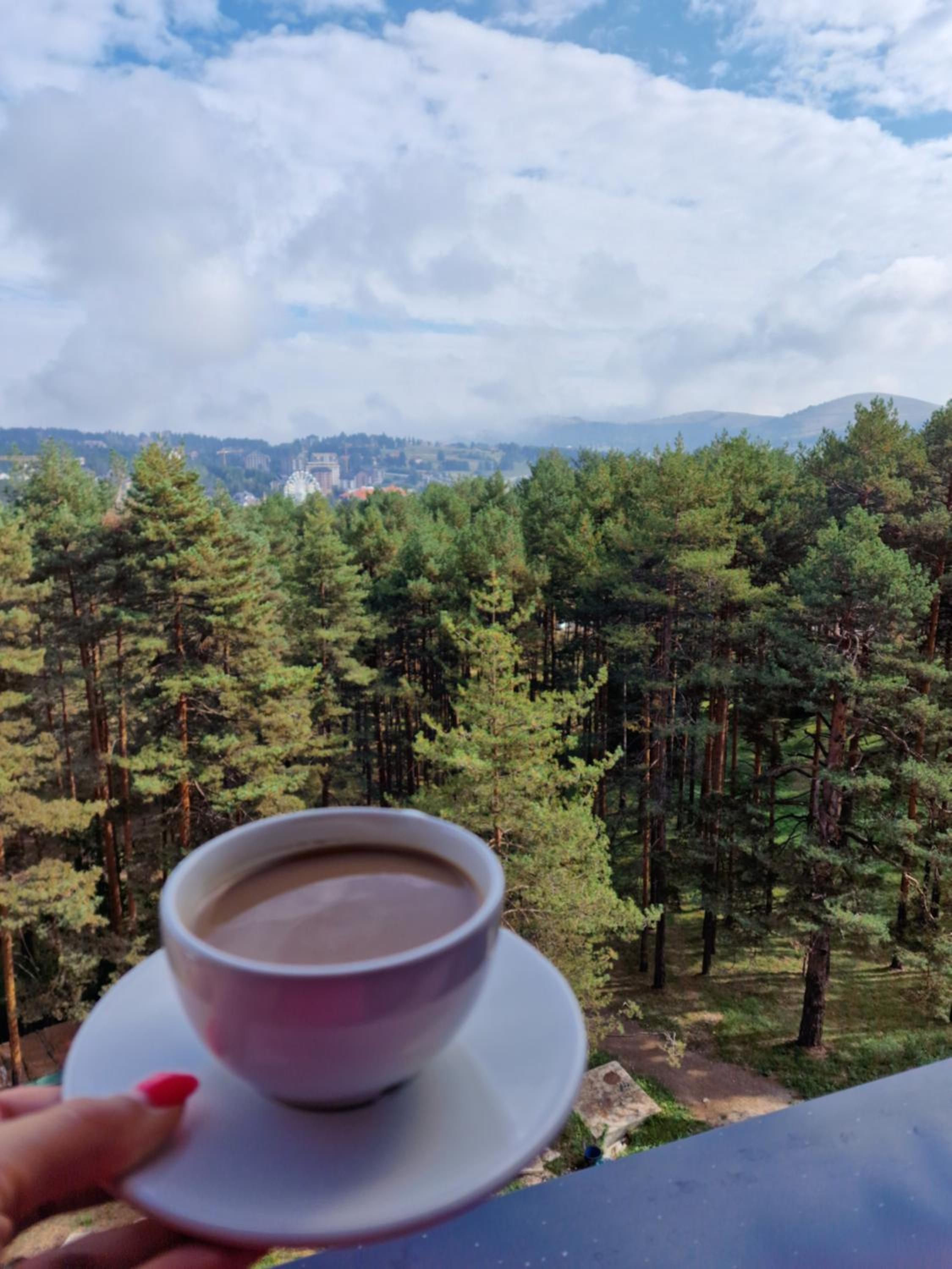 Zlatibor Royal Dream view 5