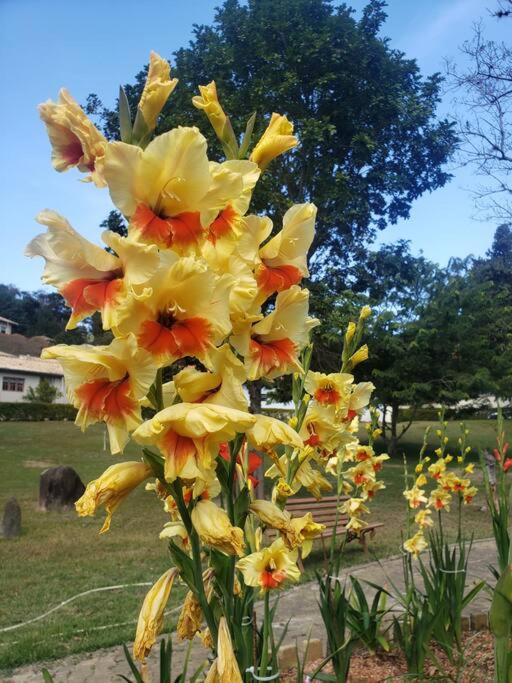 Recanto dos Beija Flores, Chale Azaleia