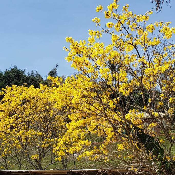 Recanto dos Beija Flores, Chale Azaleia
