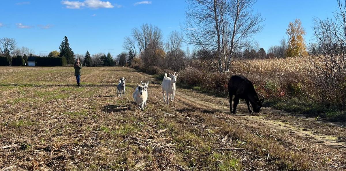 Trois-rivieres Vacations - Gite - The Rush for Barley - Property Image 17