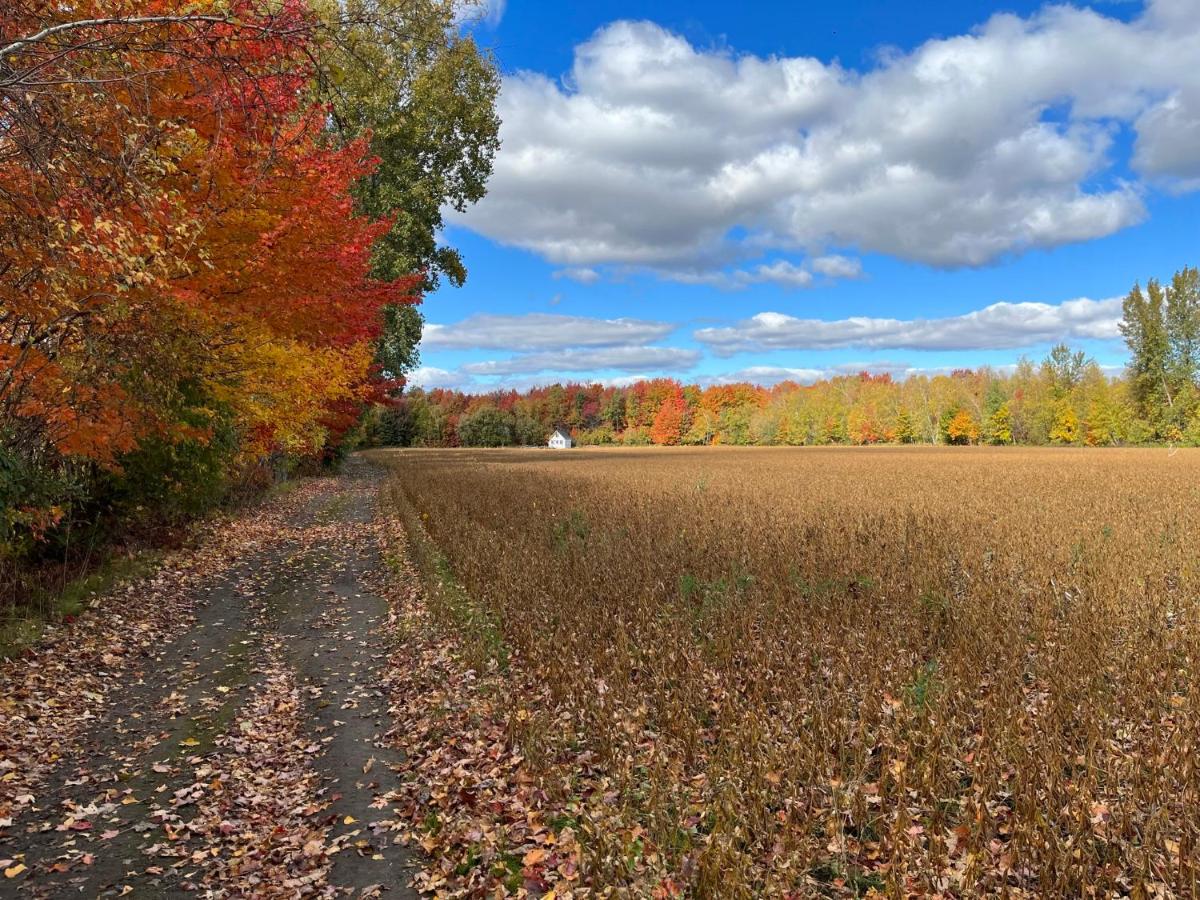 Trois-rivieres Vacations - Gite - The Rush for Barley - Property Image 15