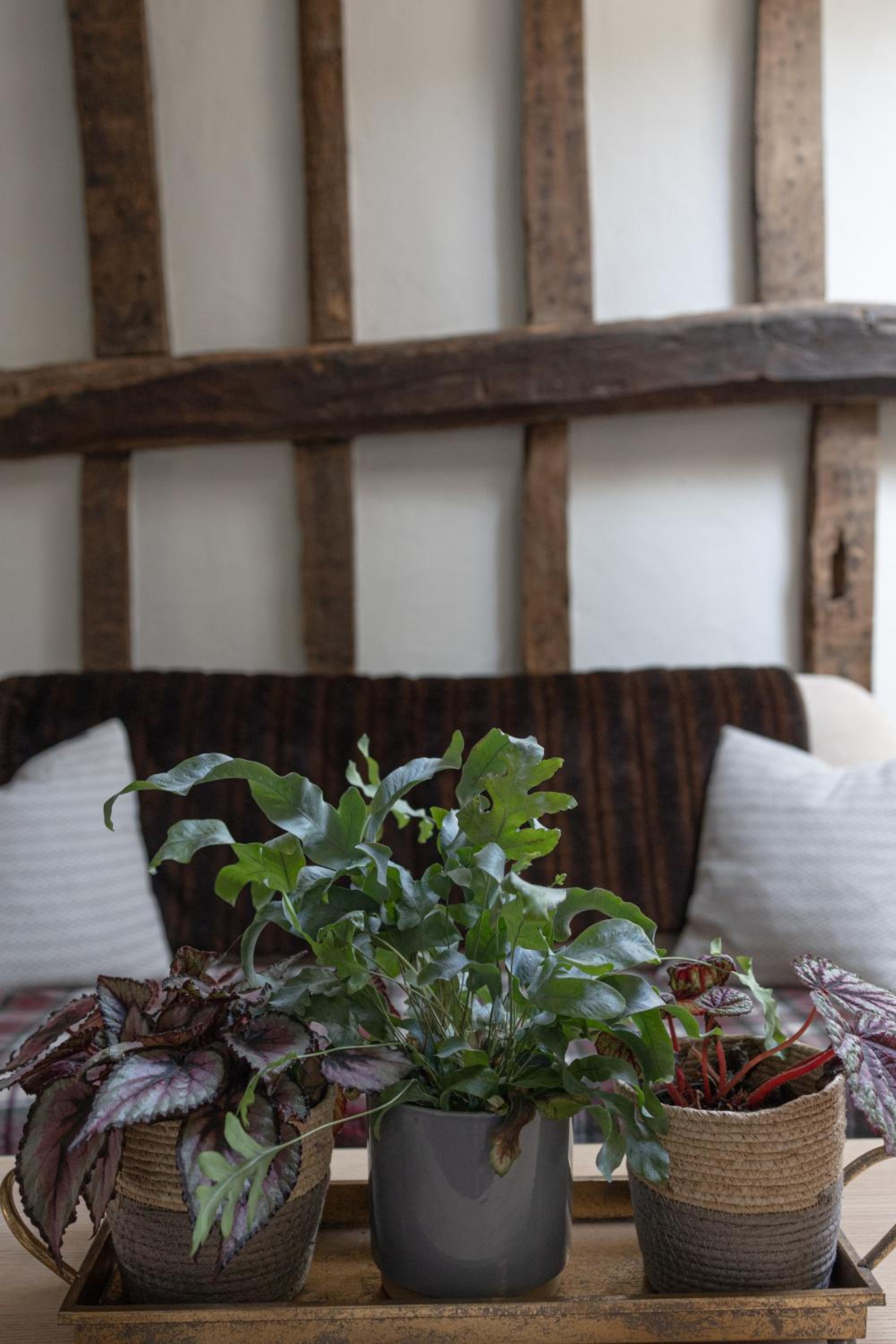 Saltmarsh Farmhouse